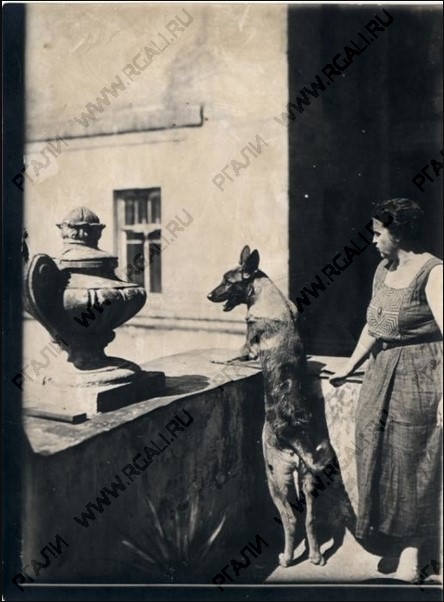 Вера Игнатьевна с собакой Гай. 1934 г.